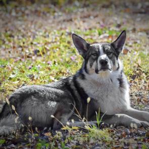 ����: ��������� ������