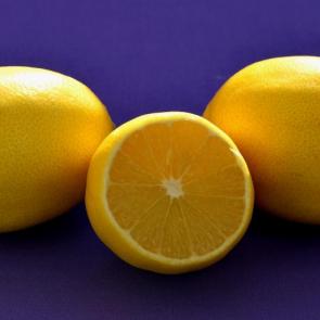 ����: ���������