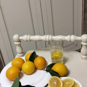 ����: ������ 