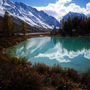 ����: �����.