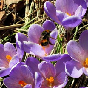 ����: ����� ������.