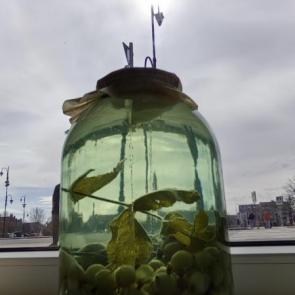 ���� ��������: ������