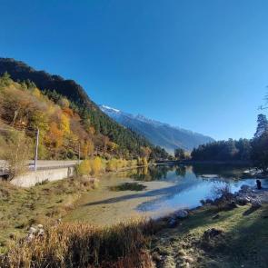 ����: ����������