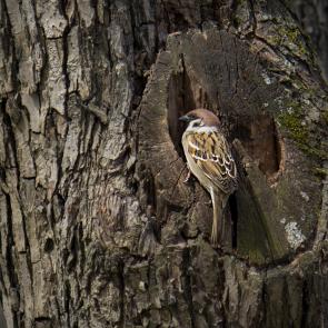 ����: ��������!