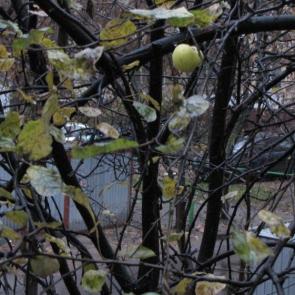 ����: ��������� ������ �� ������