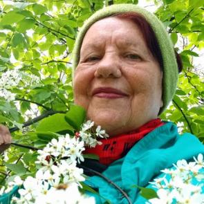 ����: �����