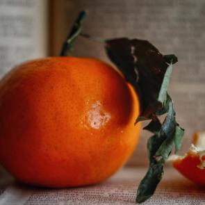 ����: ���� �������