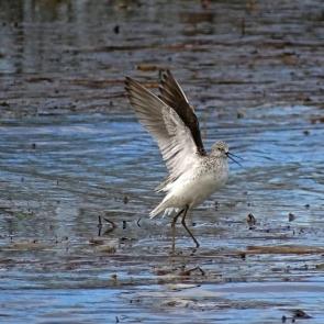 ����: � ����� �����... ����� ����������