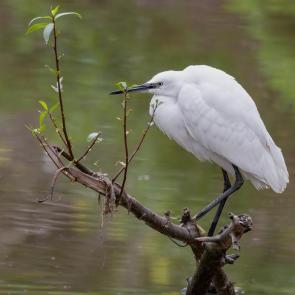 ����: ����� ����� �����.