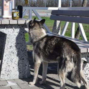 ��������� ��������