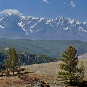 ���� ��������: ������