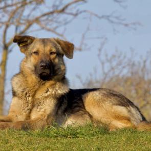 ����: �� �������� ������