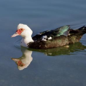 ����: ���� �� �����