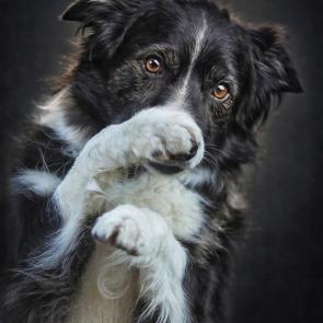 ����: ���