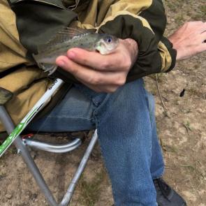 ���� ��������: ����� � �����