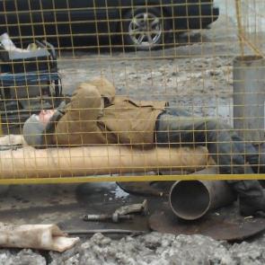 ����: ������� ���