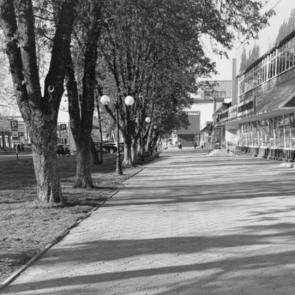 ����: ����� � ������ 