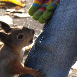 ����: �����