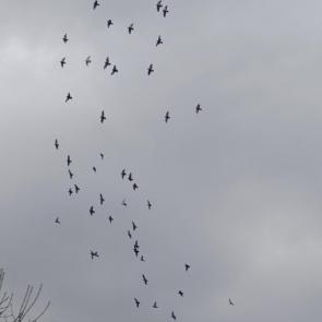 ����: � ������