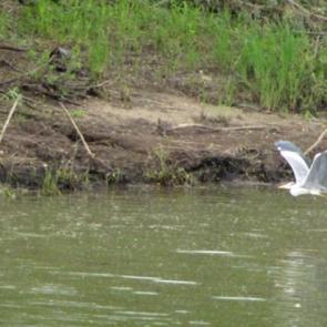 ����: �� �����