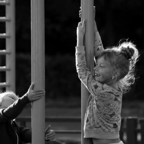 ����: ��������