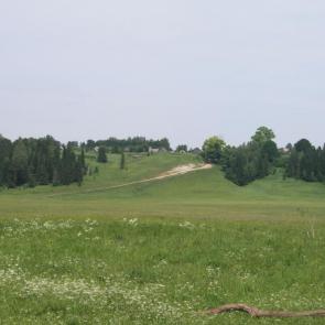 ����: ������� �����