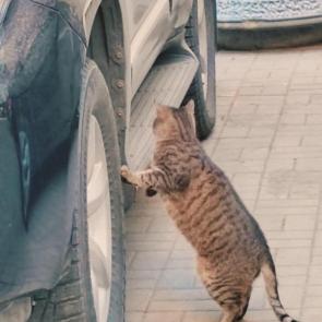 ����: ���� �� ������