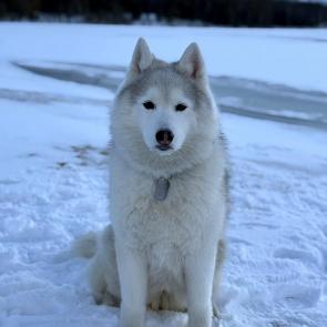 ����: ����� � ����� ������������ �����