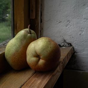 ����: �����