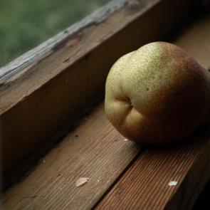 ����: ����� �� �����������