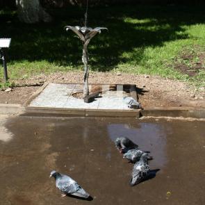 ���� ��������: ������ ���������