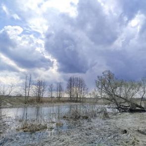 ����: ������ 