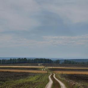 ���� ��������: 