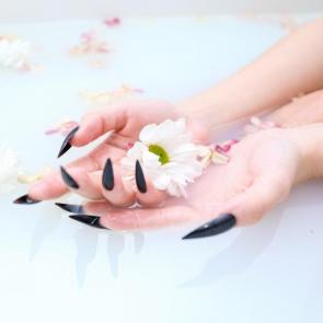 ����: �������� 