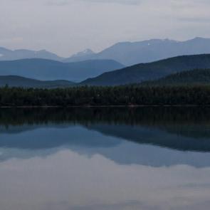 ����: ����