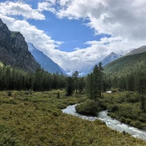 ����: �����