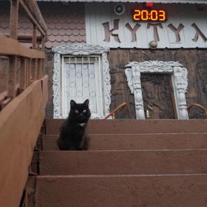 ����: ׸���� ���