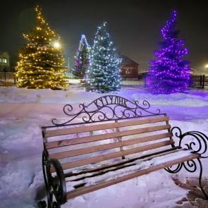 ����: �������