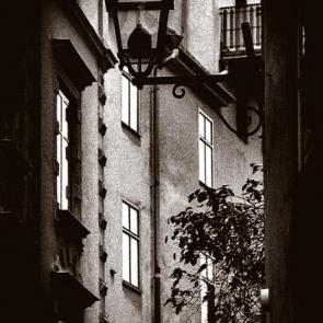 ����: ����������