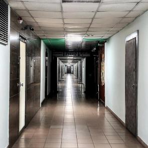 ����: �������� �����������