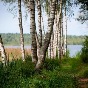 ���� ��������: 