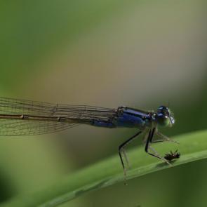 ���� ��������: �� �����