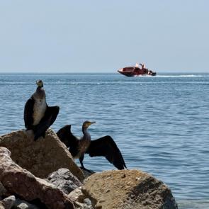 ���� ��������: ������� �������