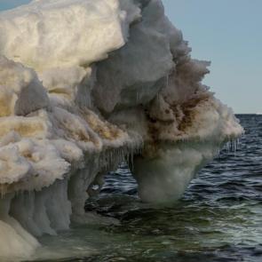 ����: ������� ����� ����