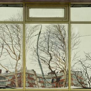 ����: ���������� ���