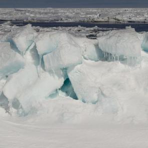 ����: ������� ������ 