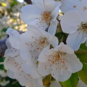 ����: ������� ����� !