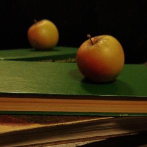 ����: ���������