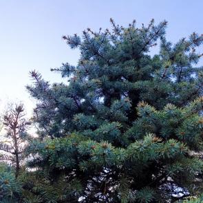 ����: ��������� ������