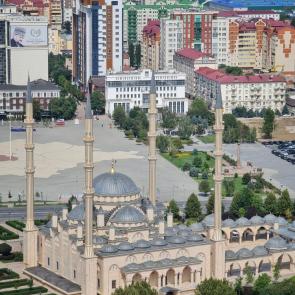 ����: �������